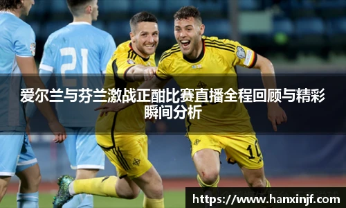爱尔兰与芬兰激战正酣比赛直播全程回顾与精彩瞬间分析